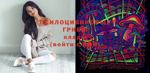 индика Алексеевка