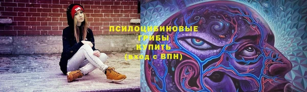 индика Алексеевка