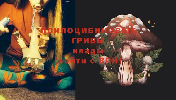 индика Алексеевка