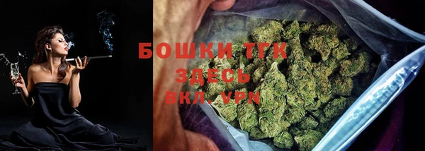 индика Алексеевка