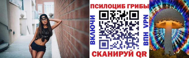 как найти   Спасск  Псилоцибиновые грибы Magic Shrooms 